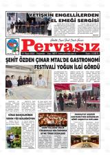 PERVASIZ